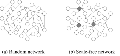 400px-Scale-free_network_sample.png